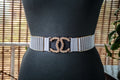 Silver Belt with Gold Metal