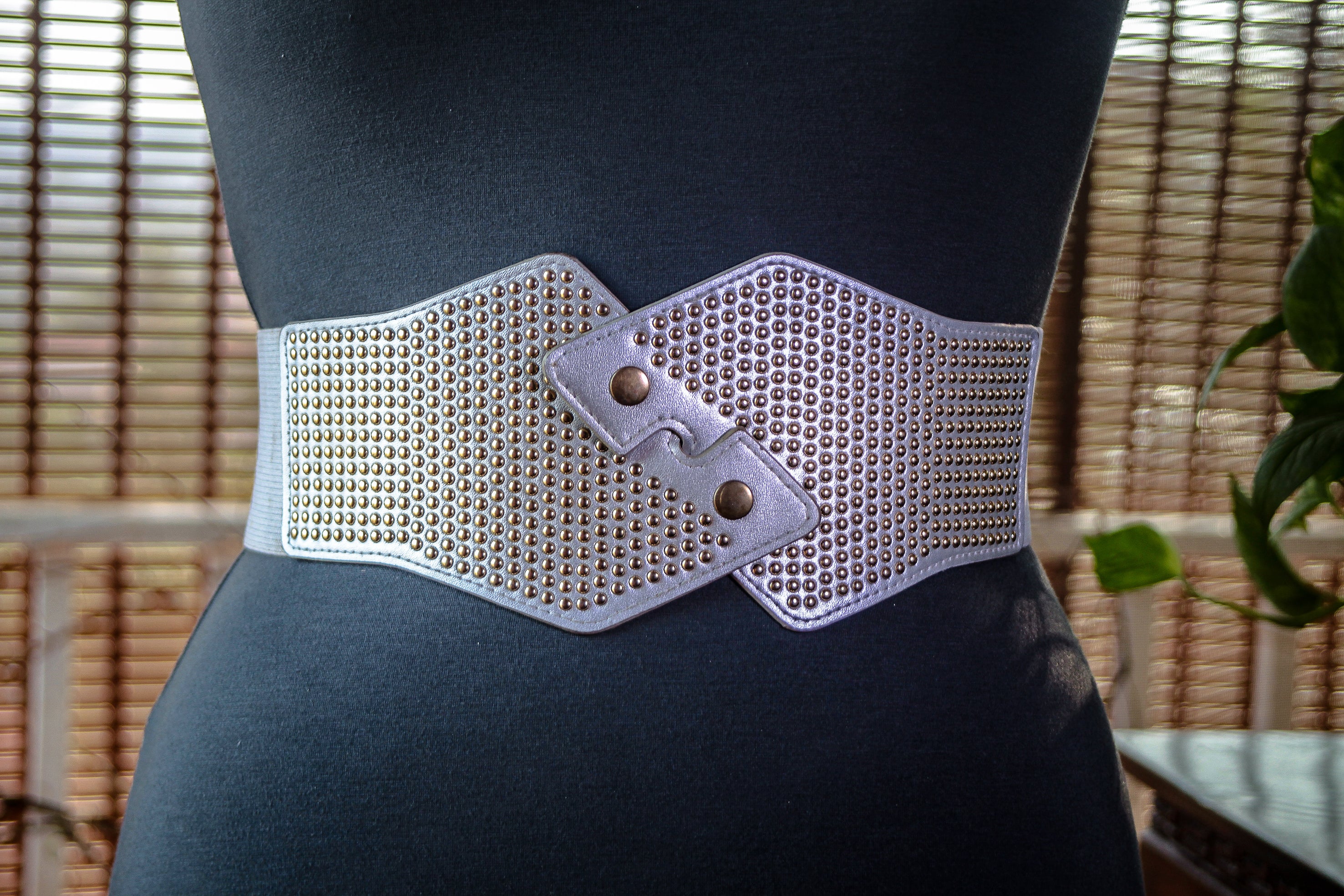 Wide Silver Belt with Gold Metal