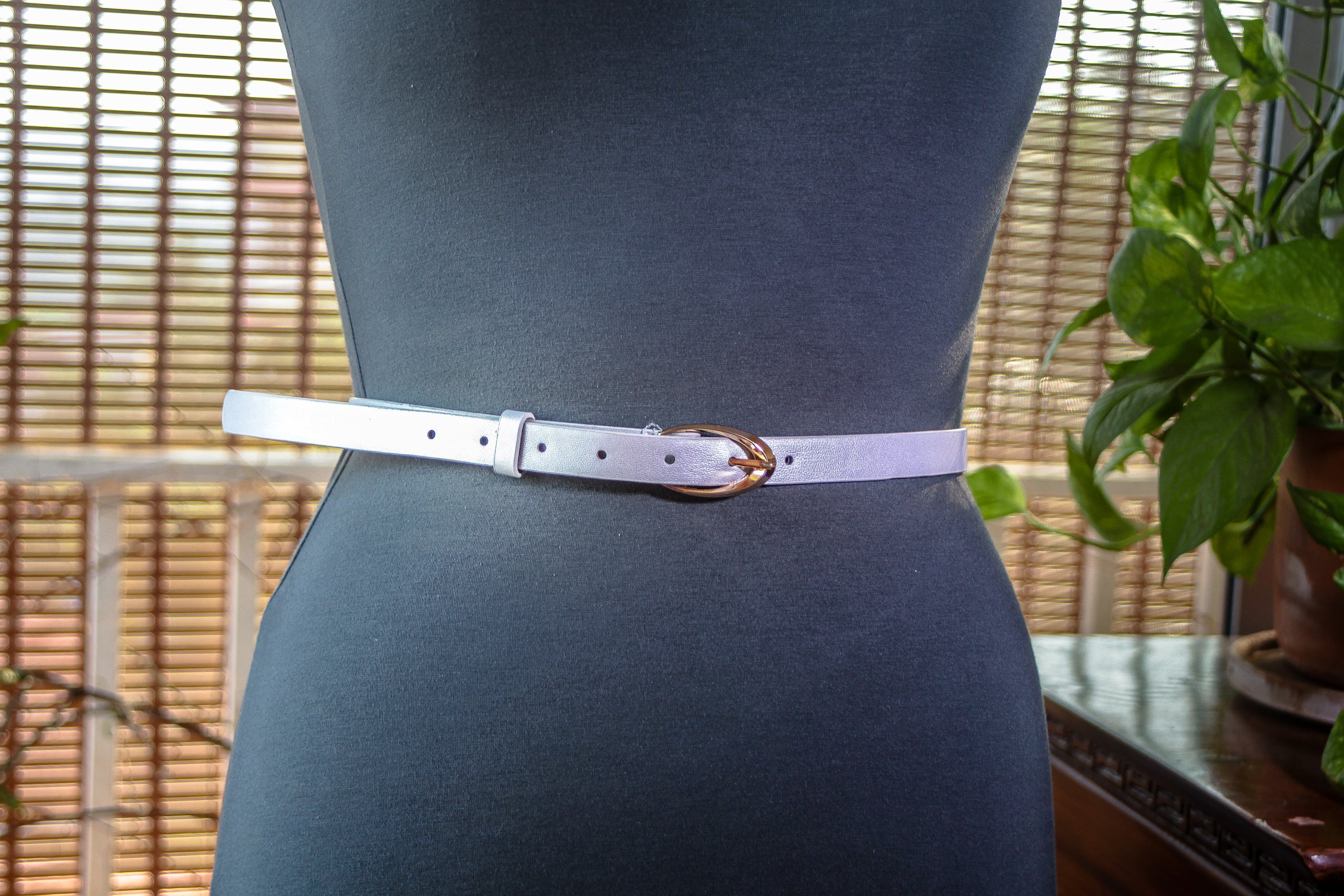 Silver Slim Belt with Gold buckle
