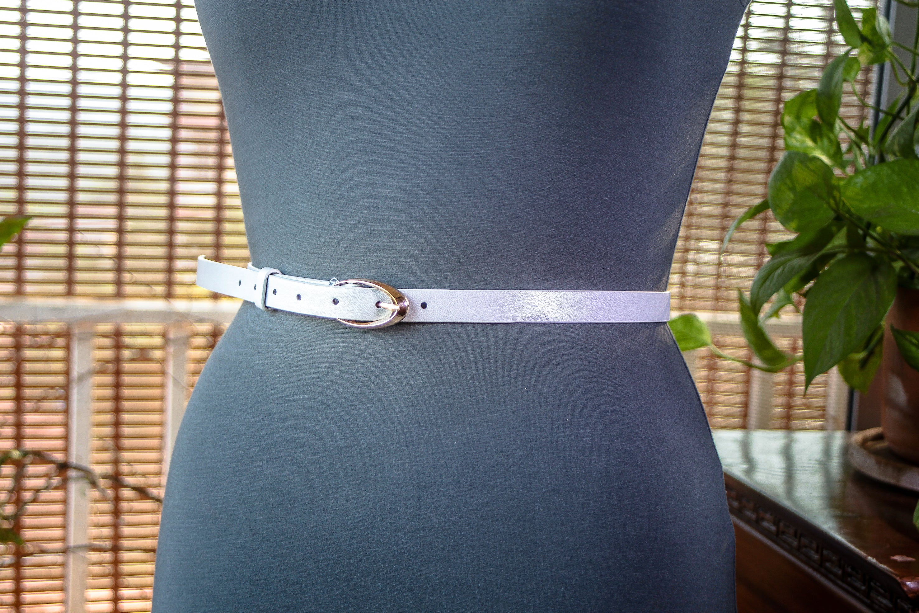 Silver Slim Belt with Gold buckle