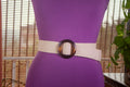 Off White Jute Elastic Belt with Round Plastic Buckle