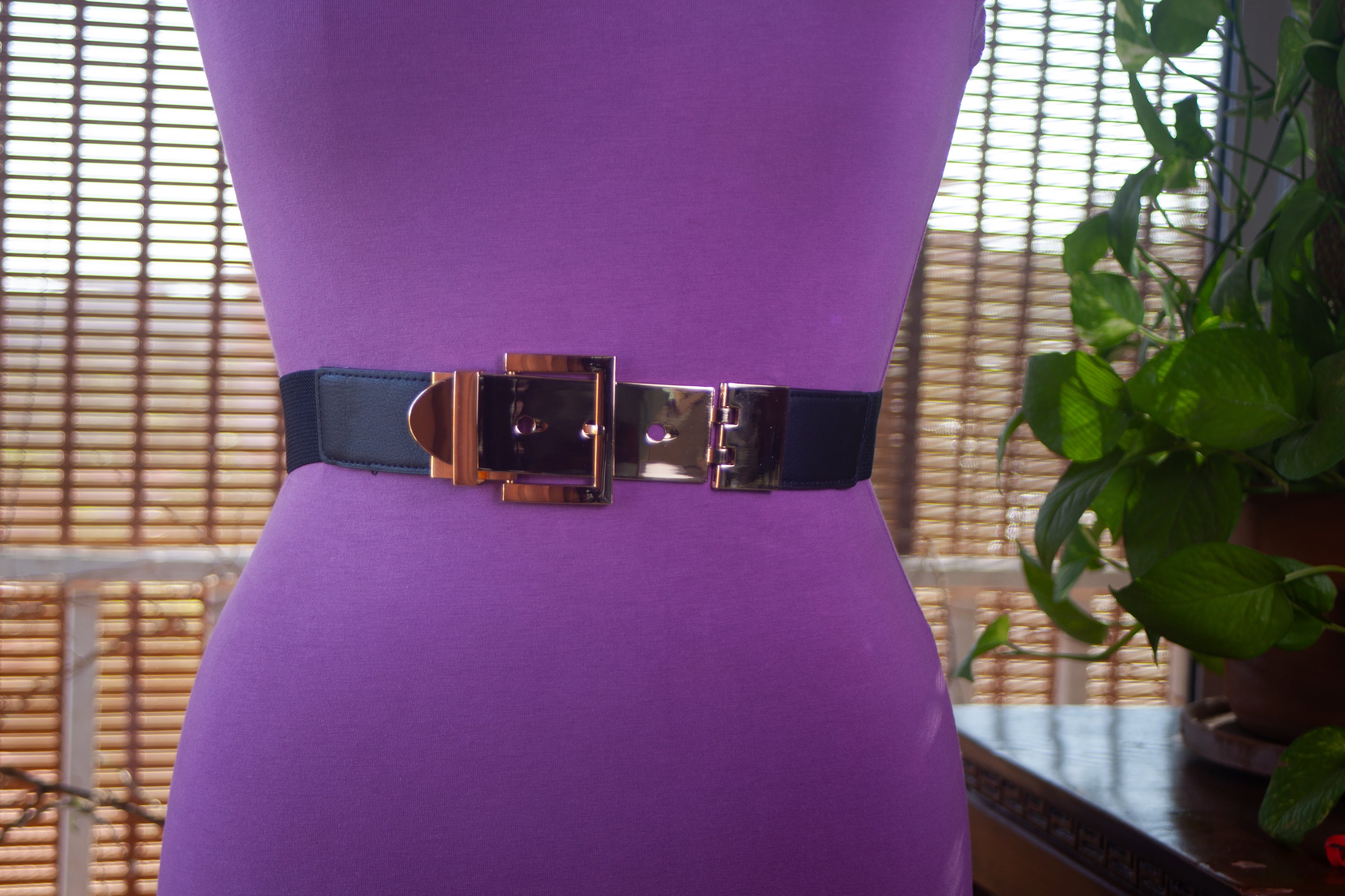 Black Belt with Gold Buckle