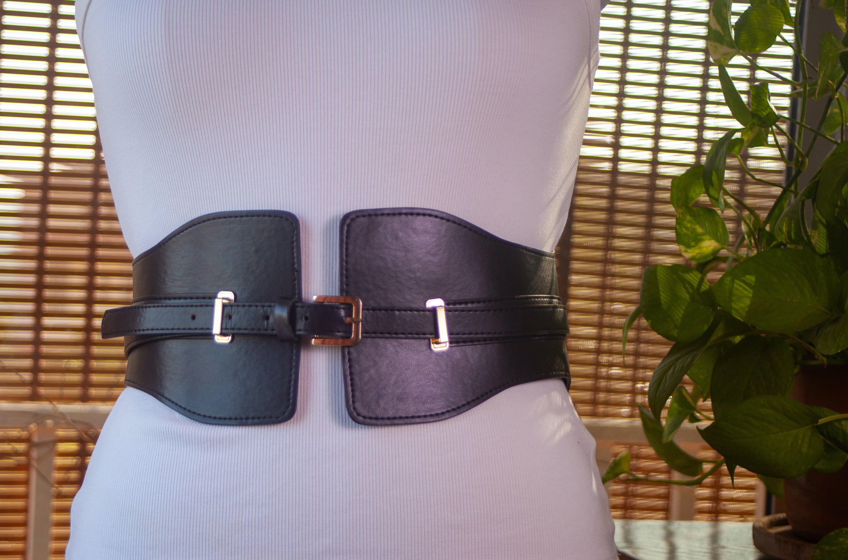 Wide Belt with Gold Metal Accents