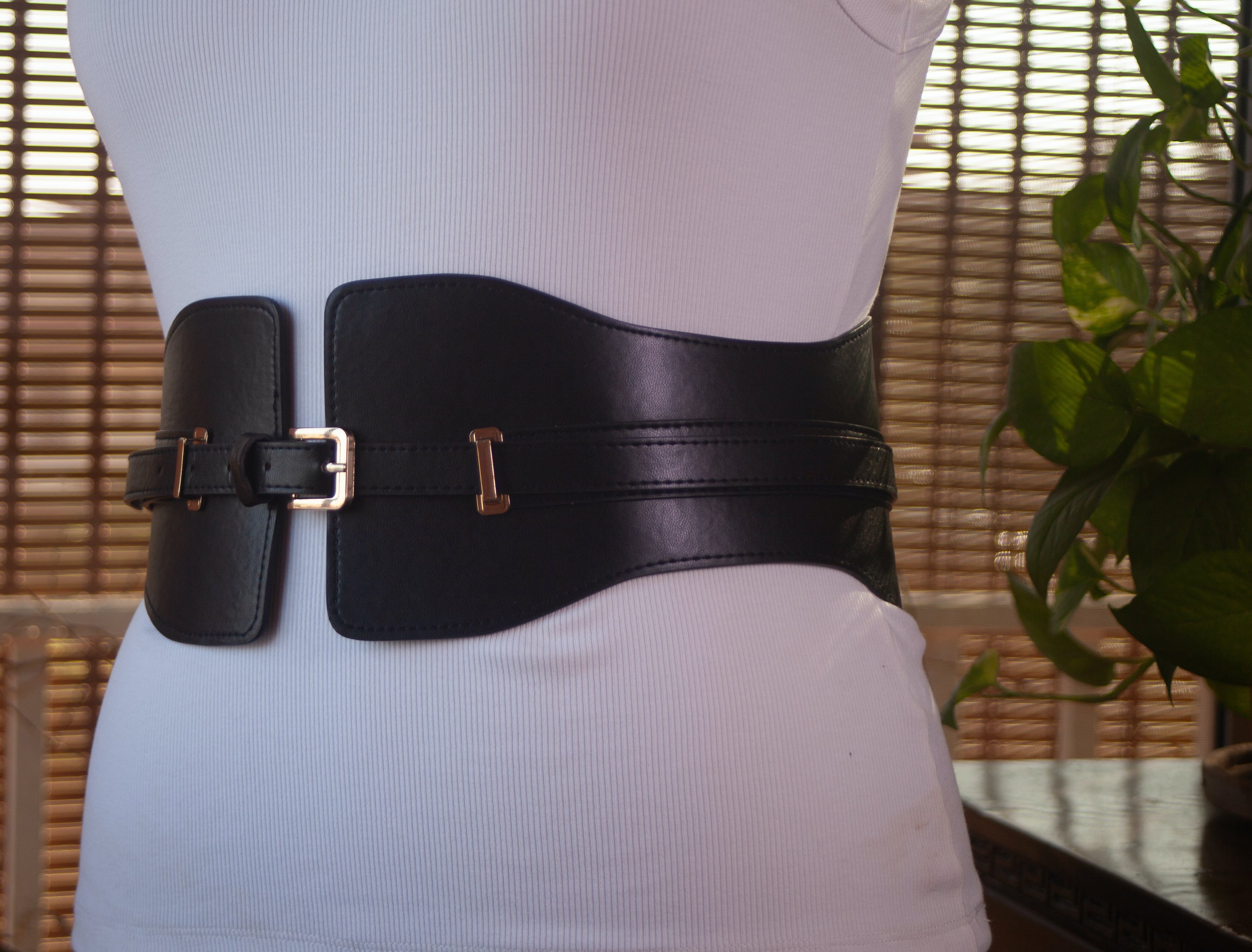Wide Belt with Gold Metal Accents