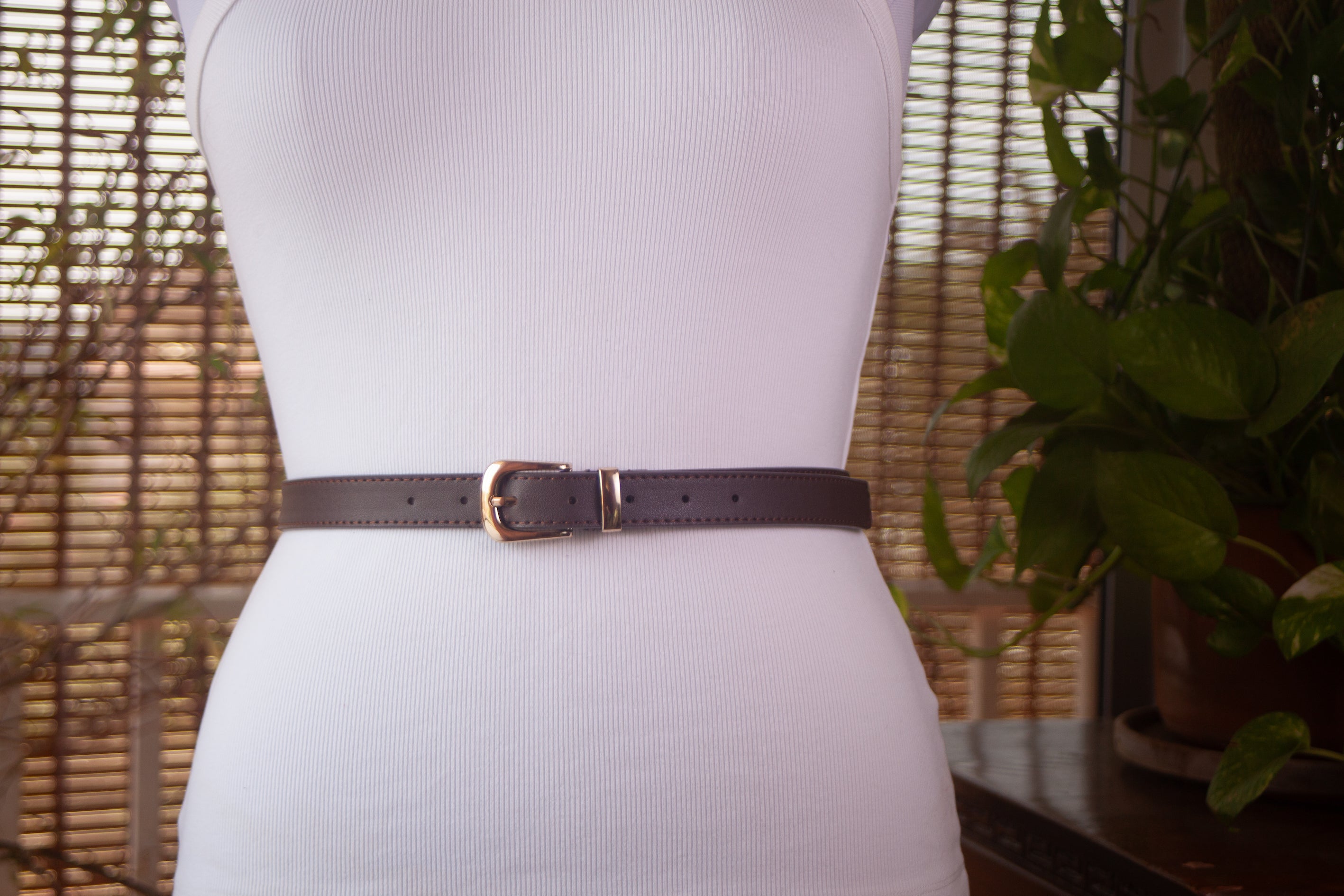 Brown Belt with Gold Buckle