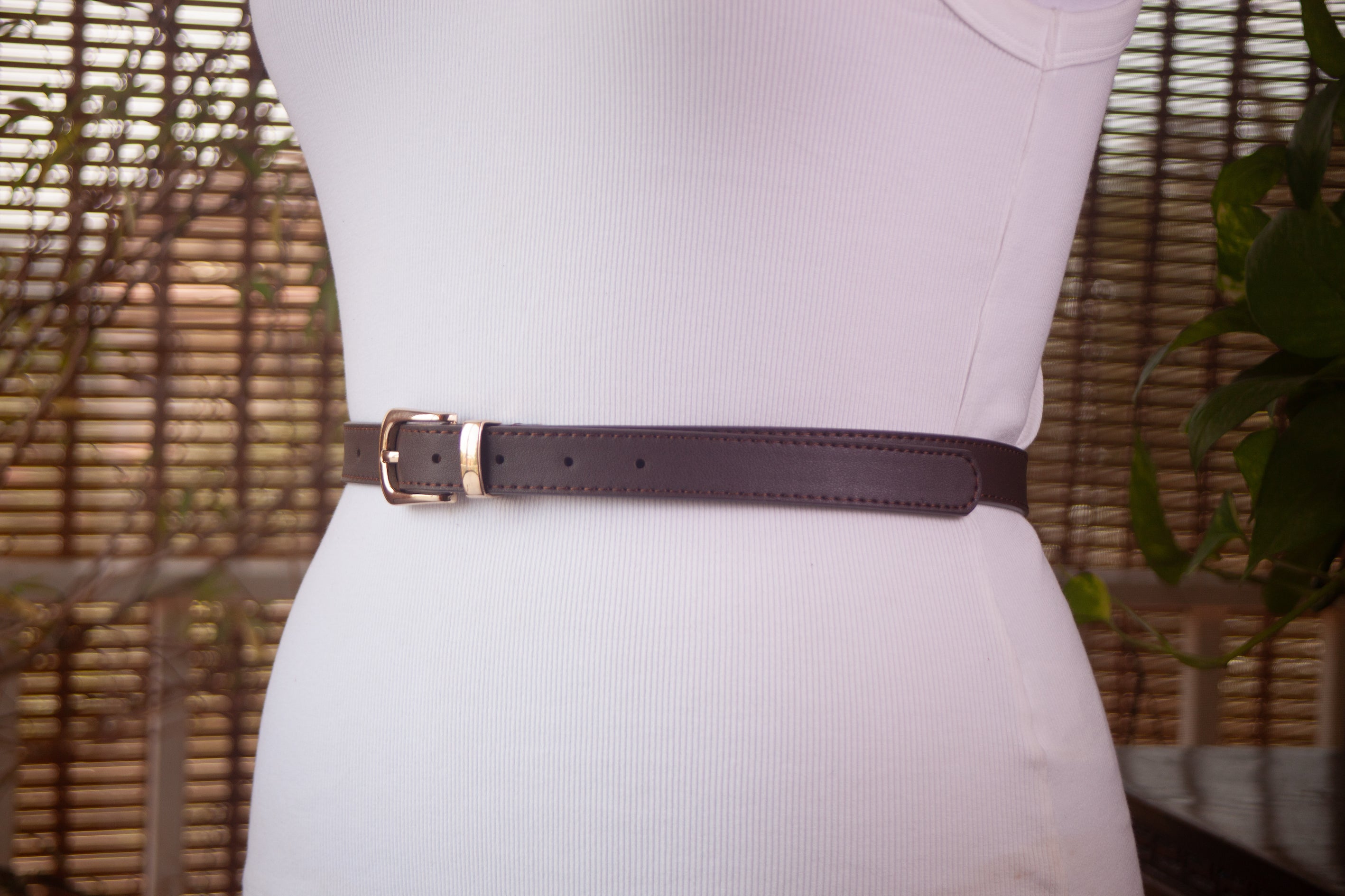 Brown Belt with Gold Buckle