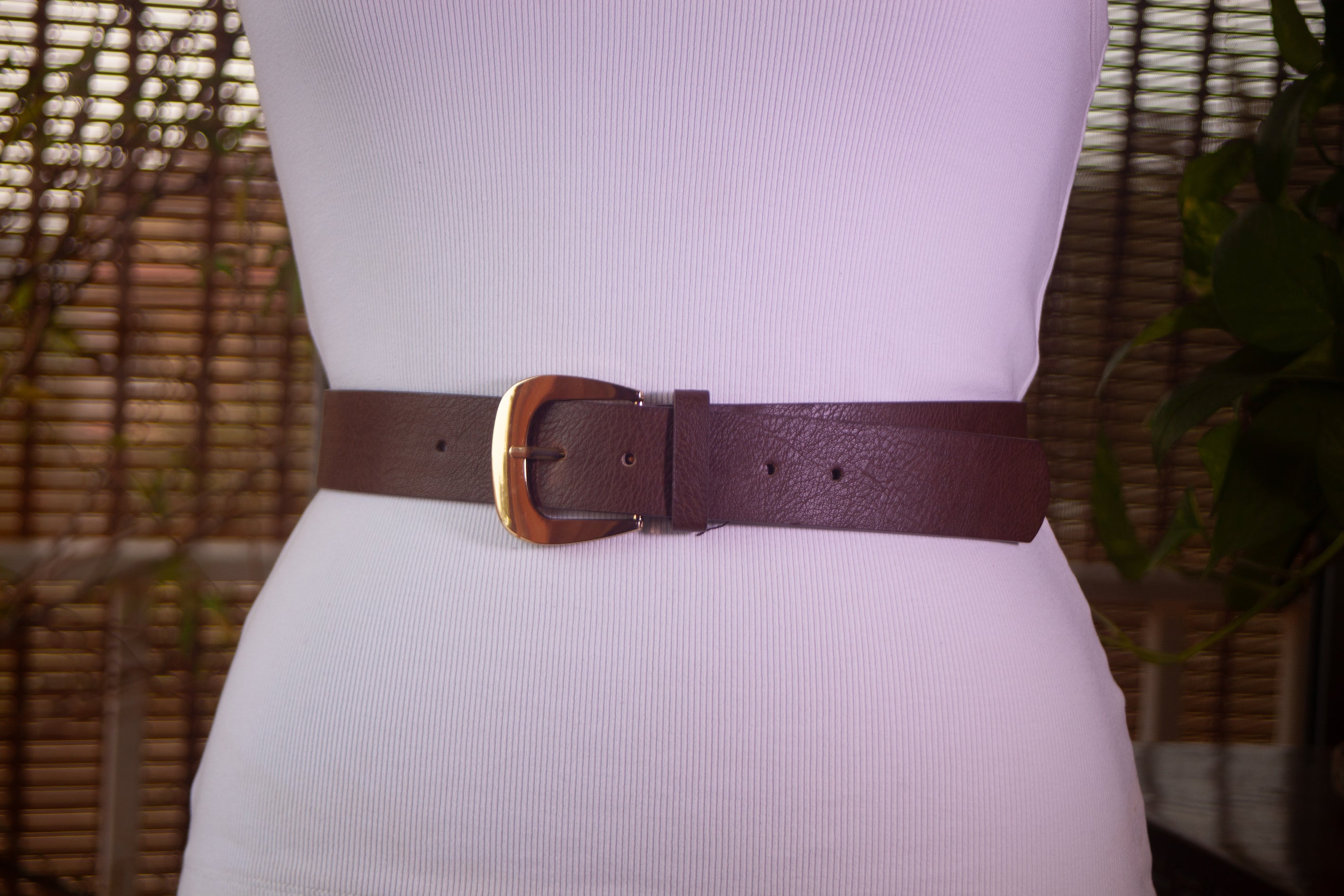 Brown Belt with Bold Gold Buckle