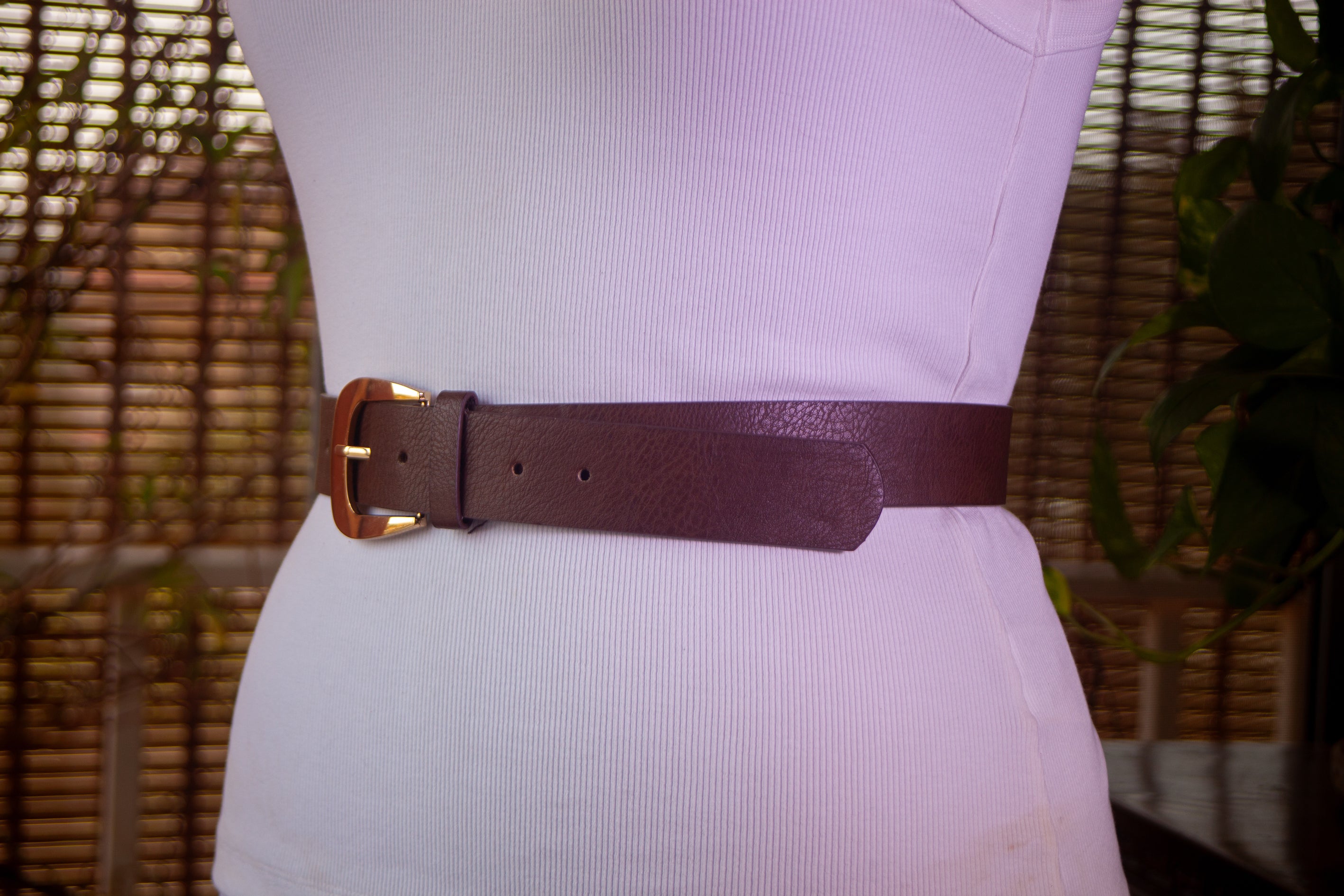 Brown Belt with Bold Gold Buckle